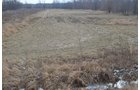 Property photo 7 - East Allen County Land Auction - 40 Acres in 2 Tracts